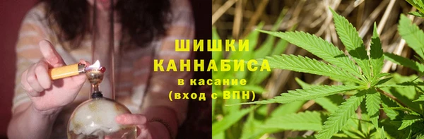 мет Бородино