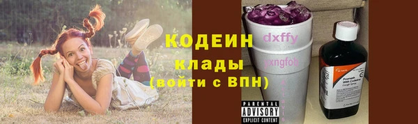 мет Бородино