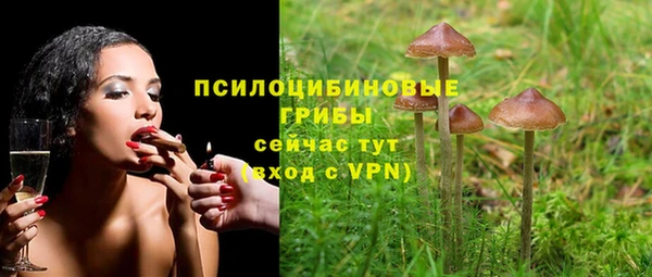 мет Бородино